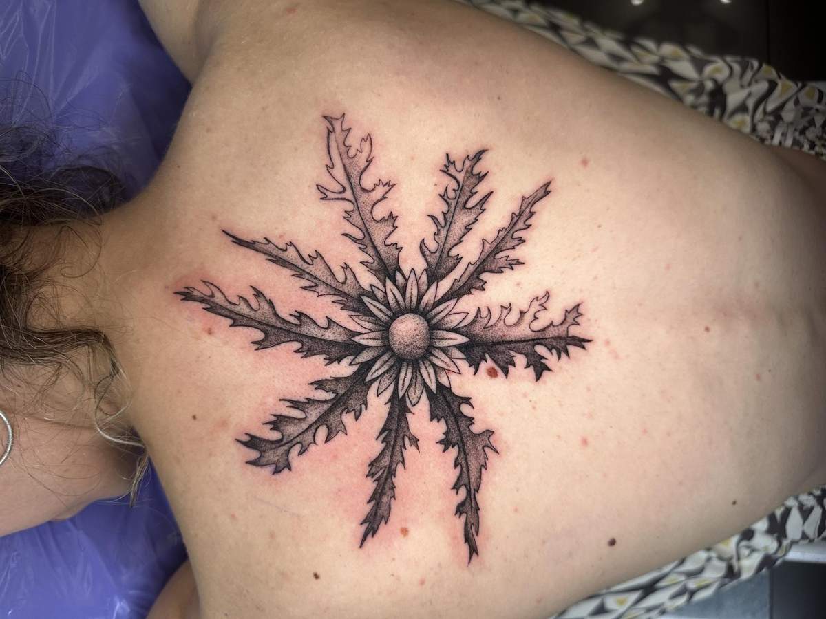 blackwork botanico
