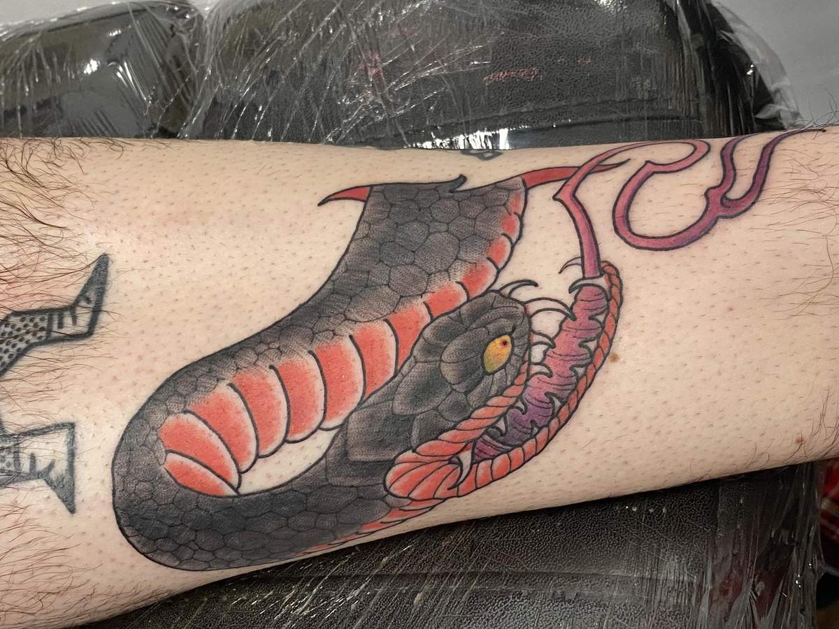 serpiente